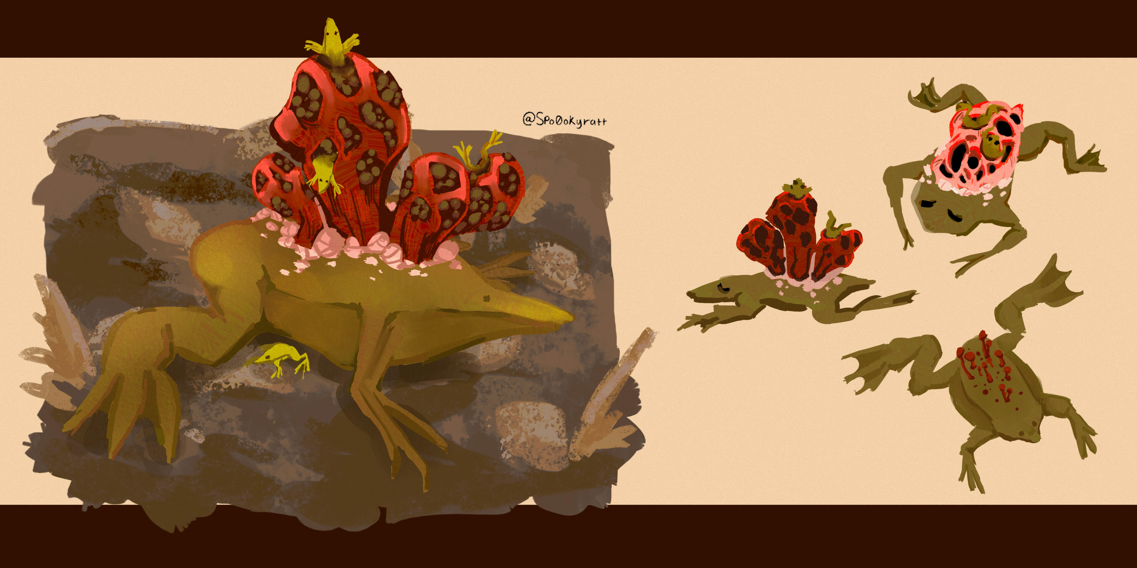 Mooshfrog Mooshfrog
