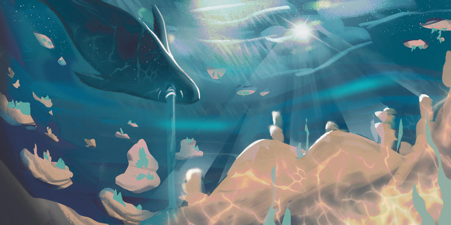Inverted Ocean
